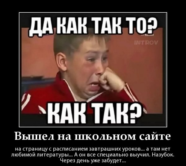 8 Tq 7Poq21zhB5EzL57NA r
