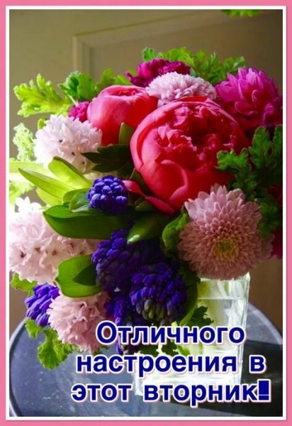 Здравствуйте, друзья!