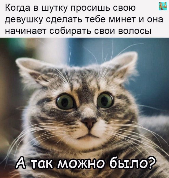 PZY9YpY7fGk