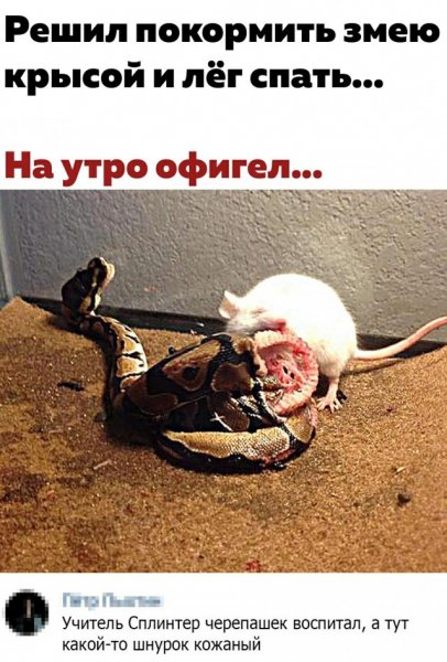 kommentarii-iz-socialnyh-setej-19