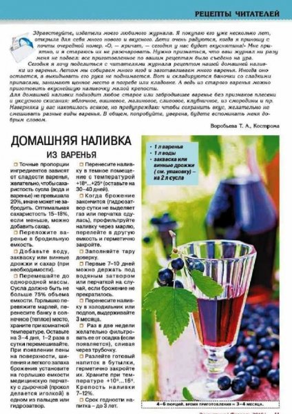 Домашняя наливка из варенья