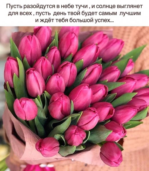 43d65b79c7de621c40c2cbafb1bf645c